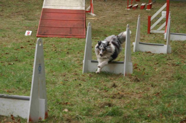 foire-haricots 2011-09-17et18